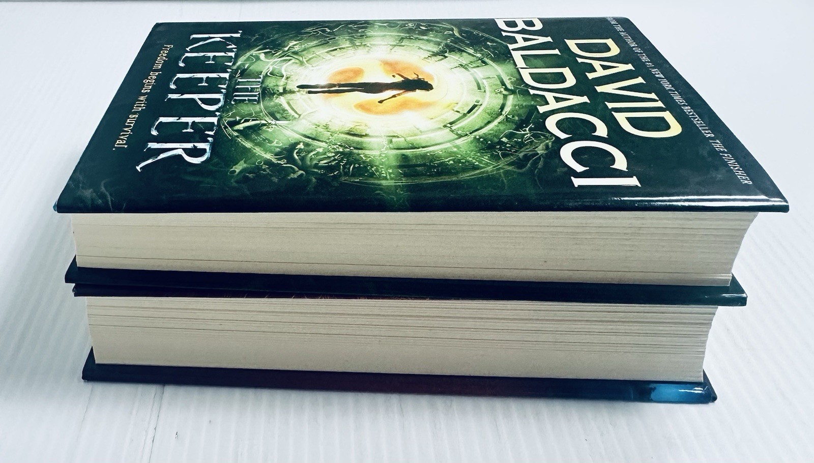 Vega Jane Hardcover Lot of 2 by David Baldacci Fantasy Adventure YA