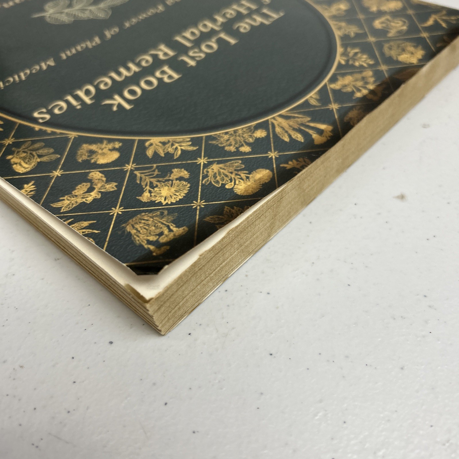 The Lost Book of Herbal Remedies by Davis & Apelian 2020 Paperback