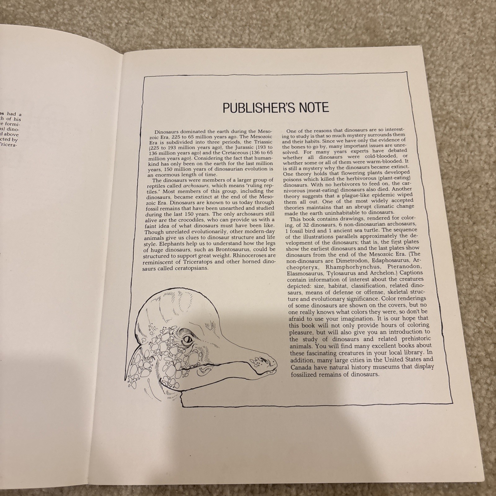 The Dinosaur Dover Coloring Book Paperback Anthony Rao Vintage 1980
