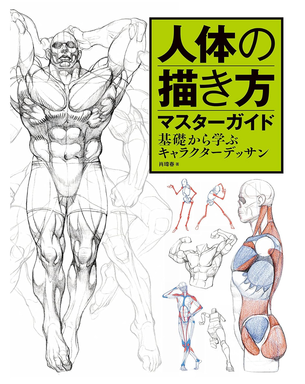 Master Guide to Drawing the Human Body: Character Drawing from the Basics Book