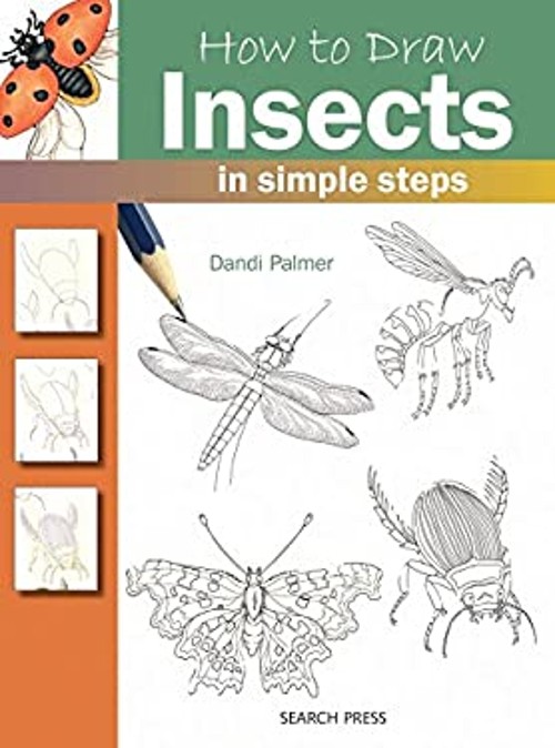 How to Draw Insects in Simple Steps Paperback Dandi Palmer