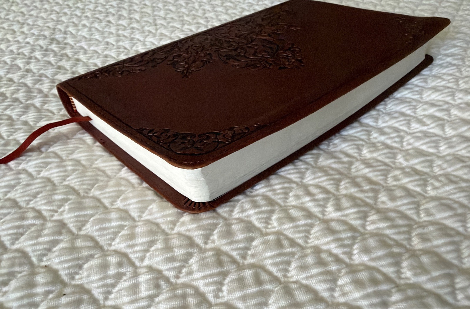 ESV Thinline Bible TruTone Nutmeg Filigree Design Red Letter Text 9781581347210