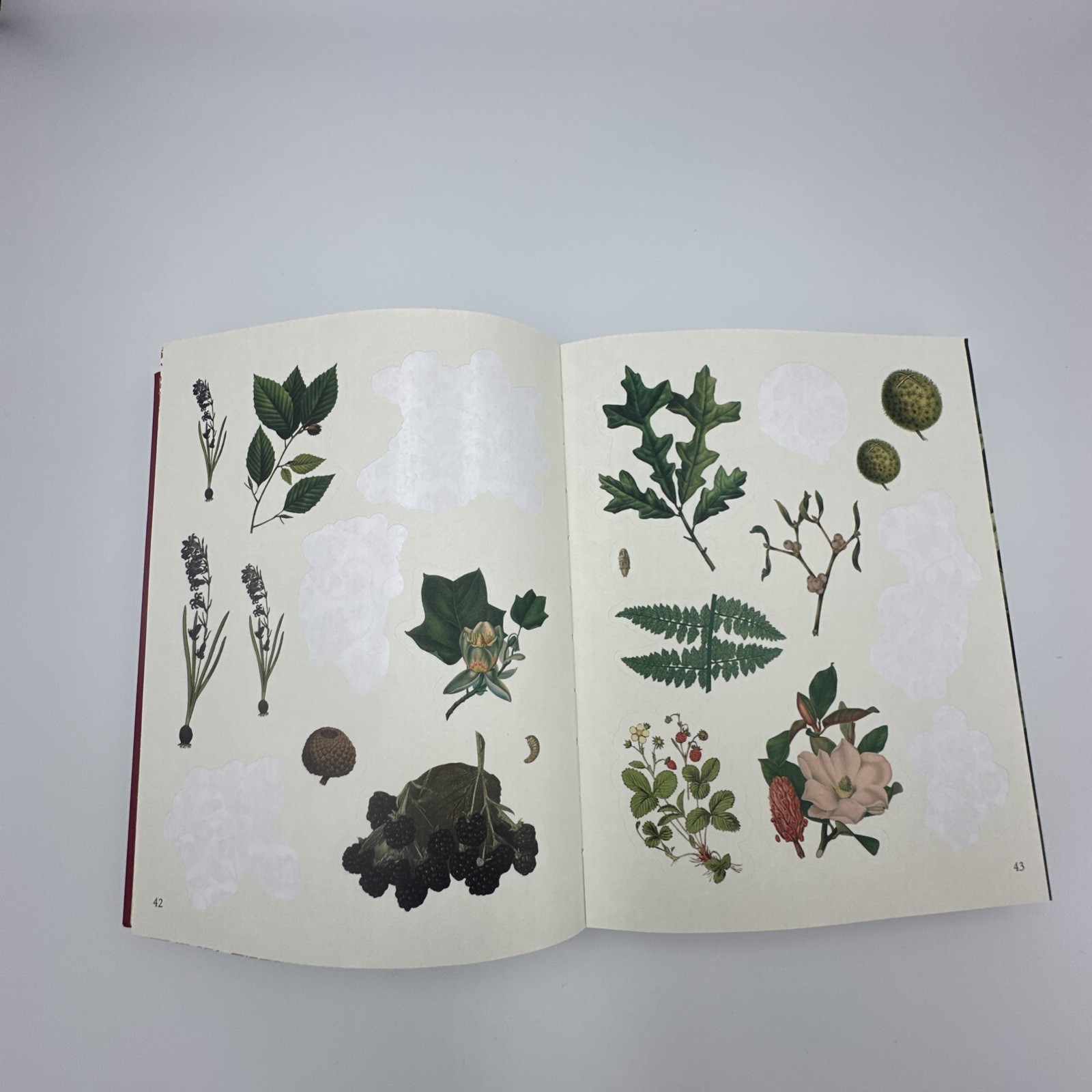 [80% Full] The Forests, Fairies and Fungi Sticker Anthology Book 1,000+ Stickers