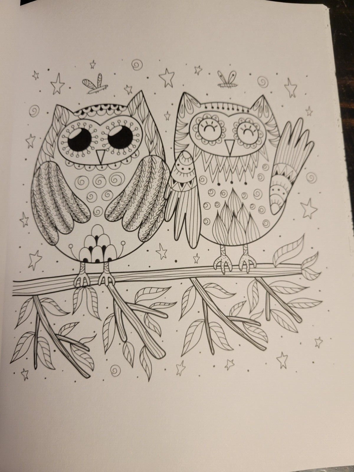 COLORING ANIMAL FRIENDS Vol 2 Adult Coloring Book With 47 Prints Ready To Frame
