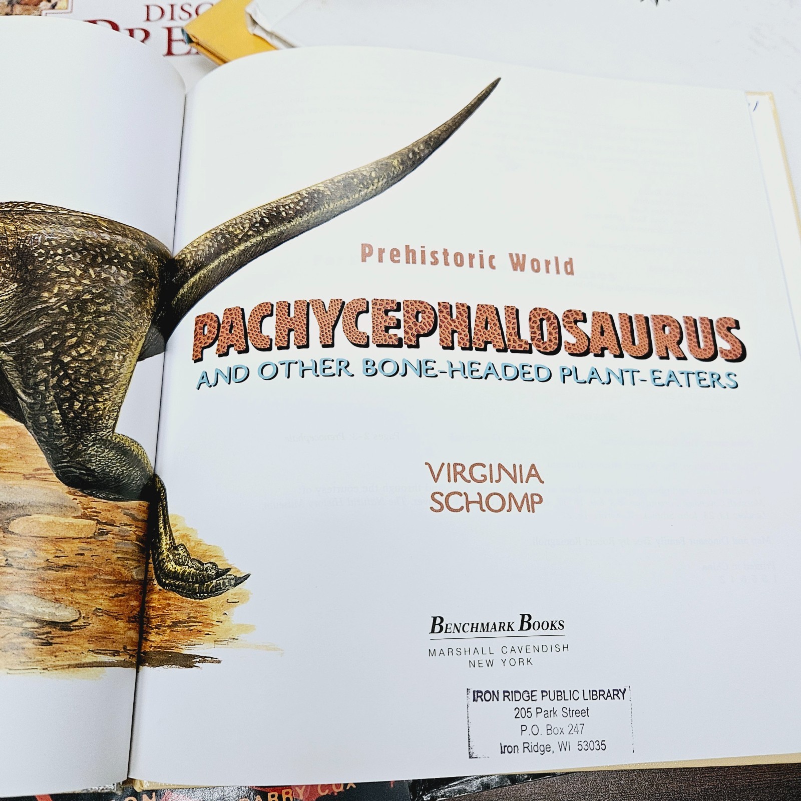 Kids Books About Dinosaurs Lot of 10 Homeschool Classroom Library Eyewitness