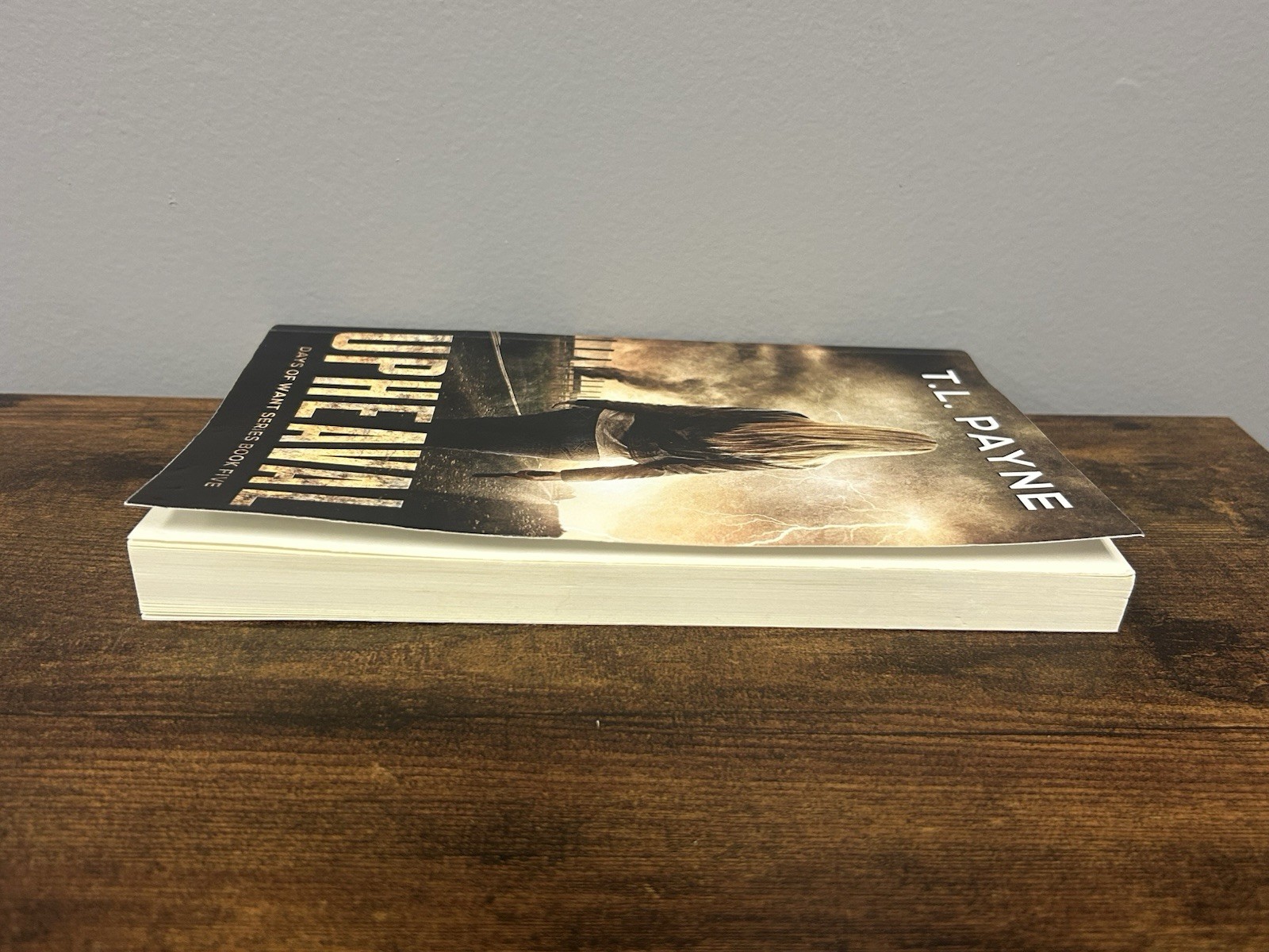 Upheaval: A Post Apocalyptic EMP Survival Thriller (Days of Want Book Five)