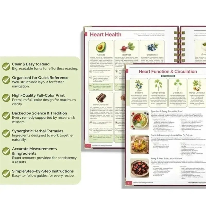 The Natural Healing Handbook Spiral Bound Guide For Herbal Remedies And Natural