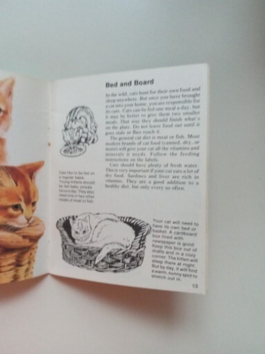SCIMITAR NP Cats By Jill Hughes 1981 Paperback