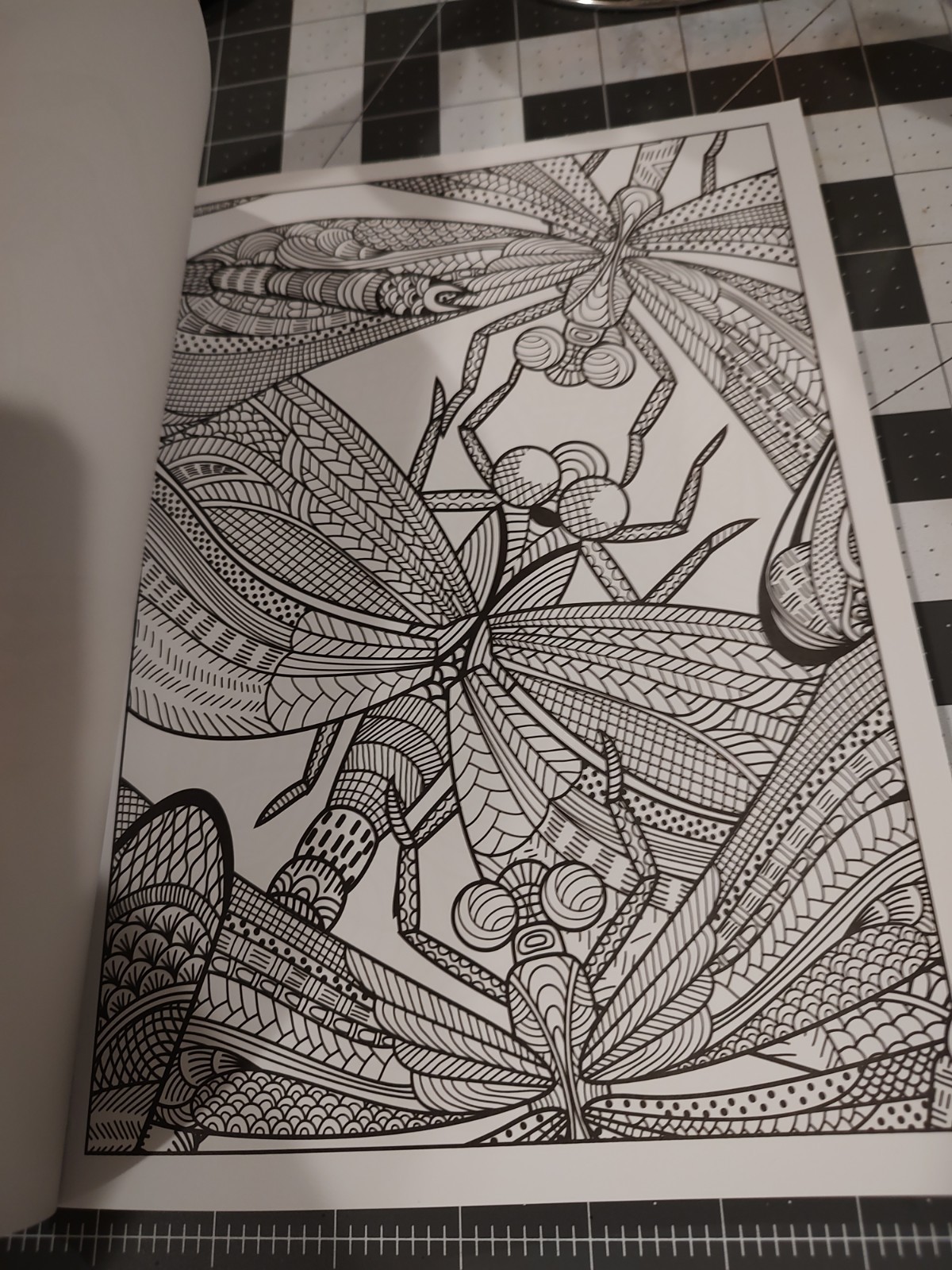Bendon Everybody Loves Coloring Animals Coloring Book