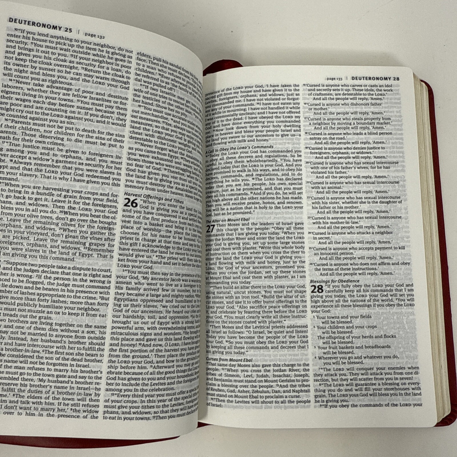 Compact Slimline Edition Holy Bible New Living Translation Tyndale House 6 1/4″