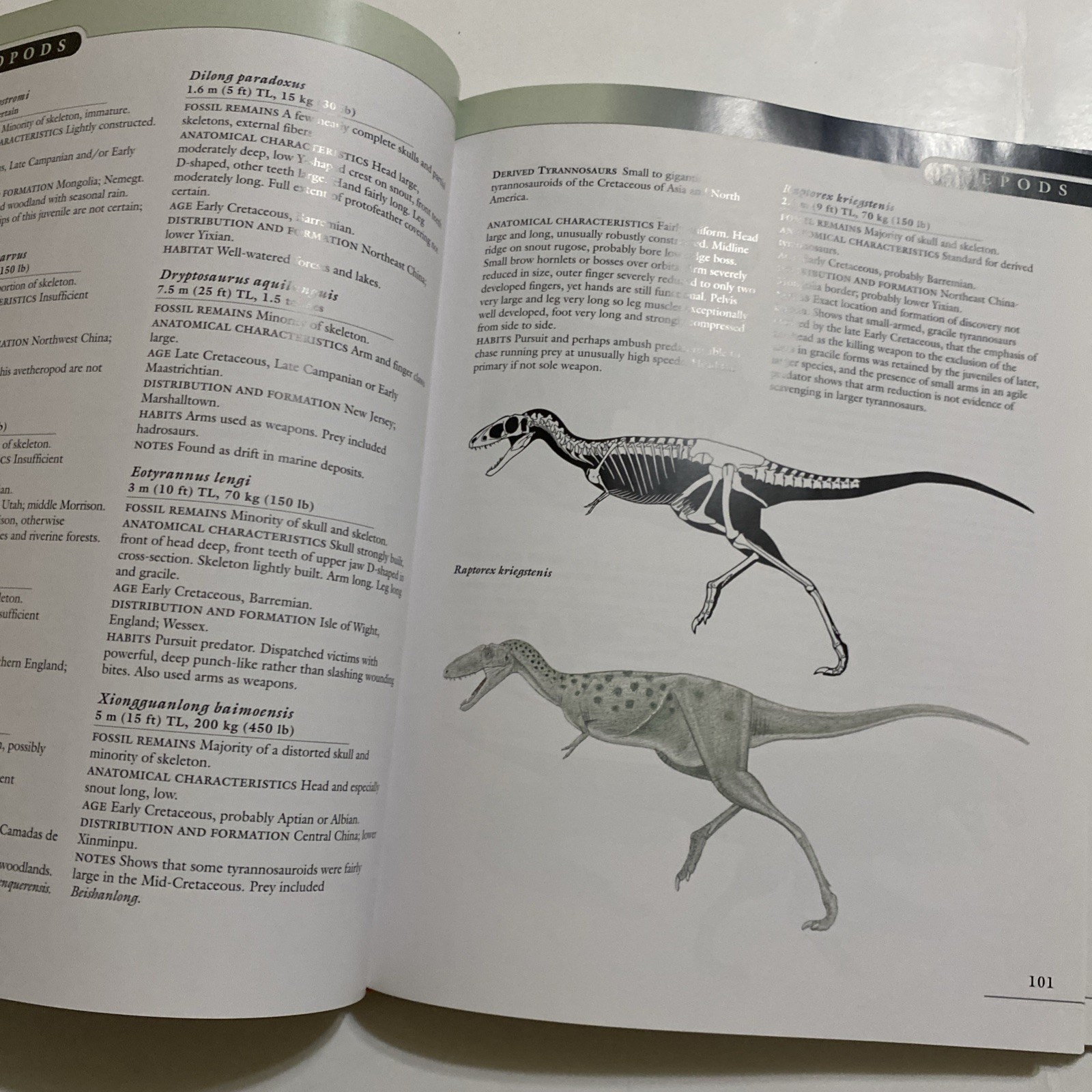 Princeton Field Guide to Dinosaurs Gregory S Paul 2010 1st Printing HC DJ