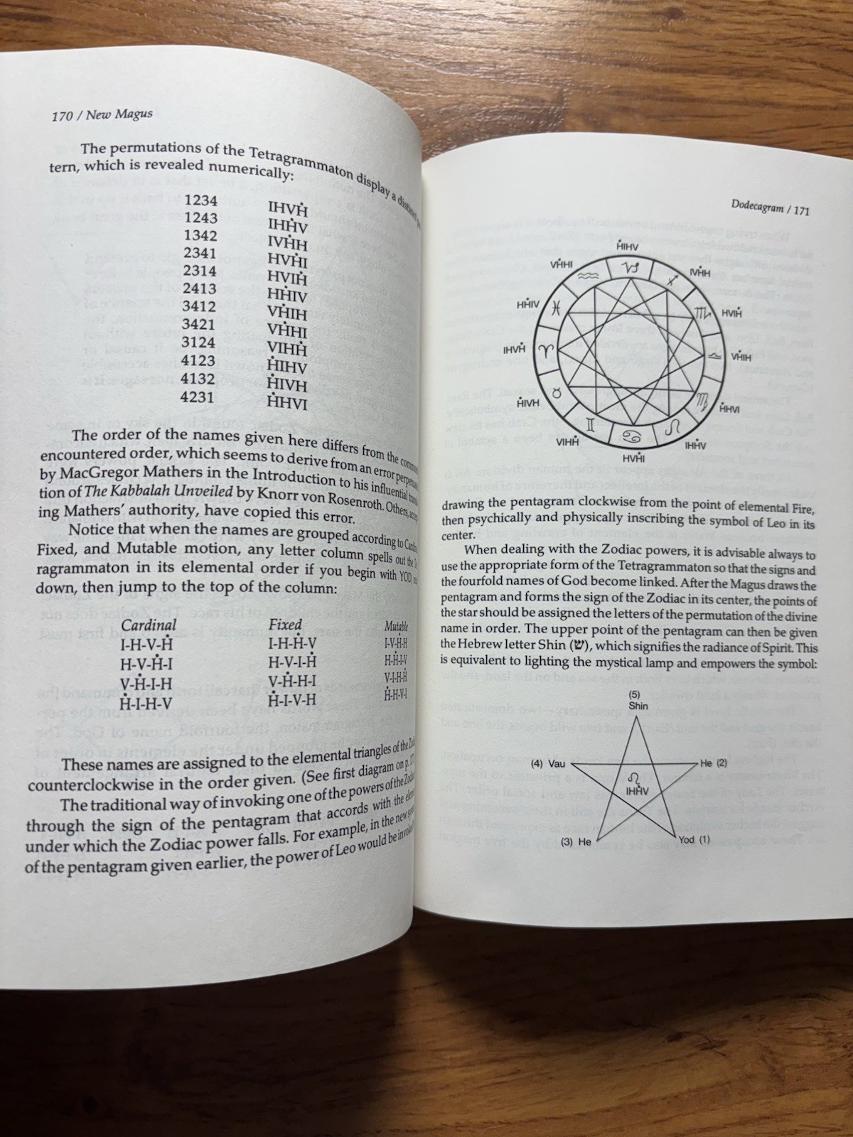 The New Magus Donald Tyson Ritual Magic Personal Process Occult Book