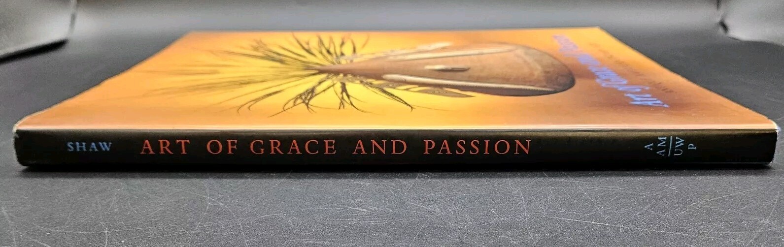Art of Grace and Passion Antique American Indian Art Book Coffee Table HCDJ
