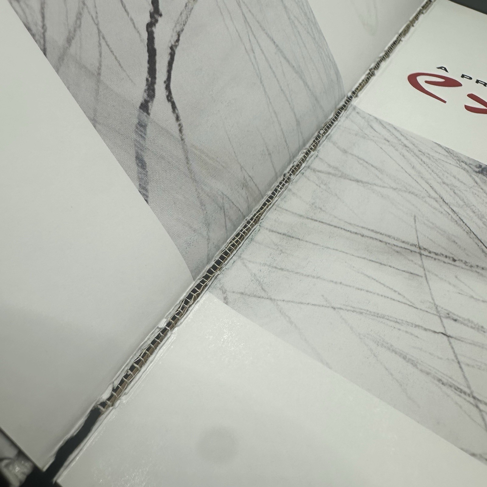 Expressive Drawing Steven Aimone 2009 Art Instruction Lark Books