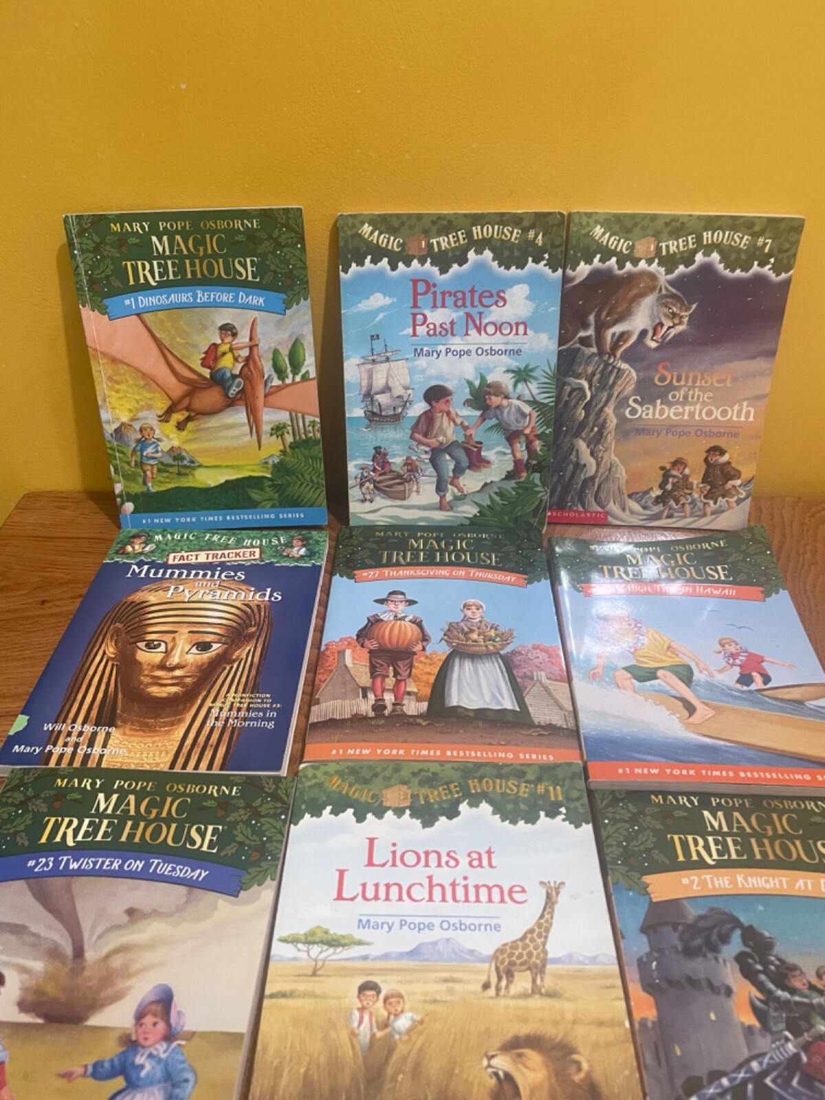 Random Lot of 12 Magic Tree House Books Mary Pope Osborne