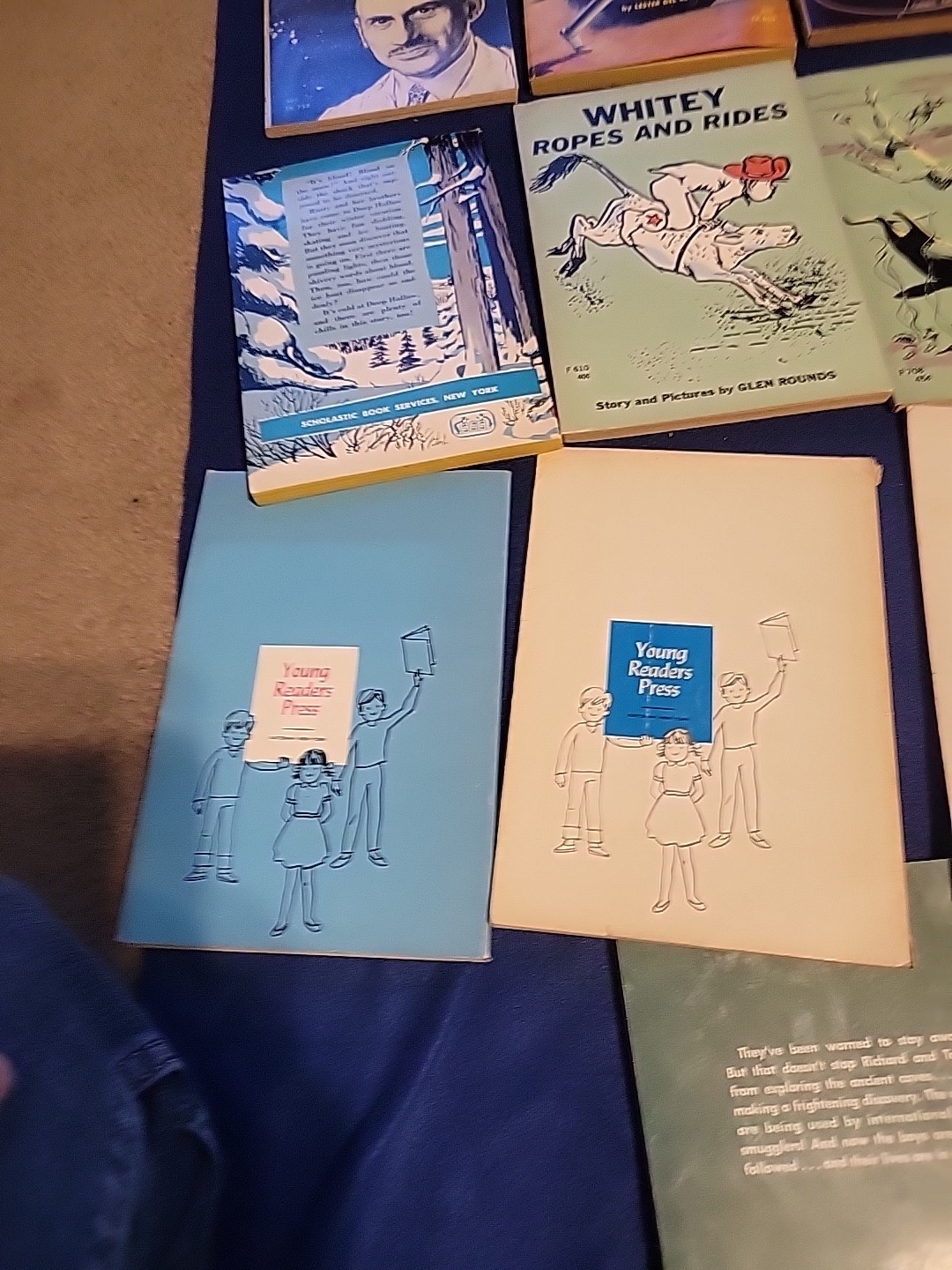 Vintage Young Readers Press ,scholastic And Others Pb Books
