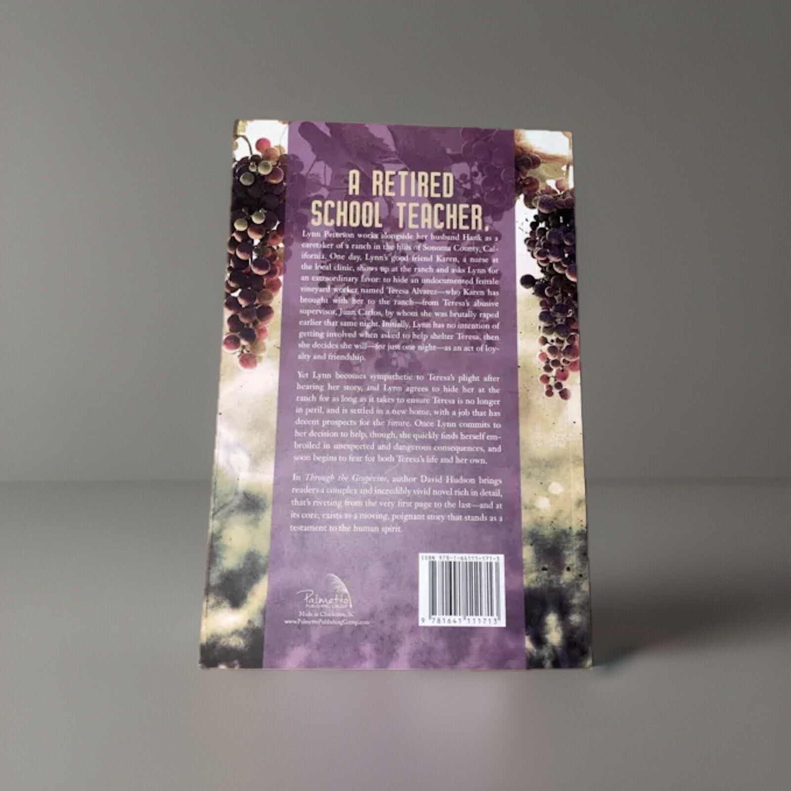 Through The Grapevine Novel David Hudson 2018 Palmetto Publishing *SIGNED*
