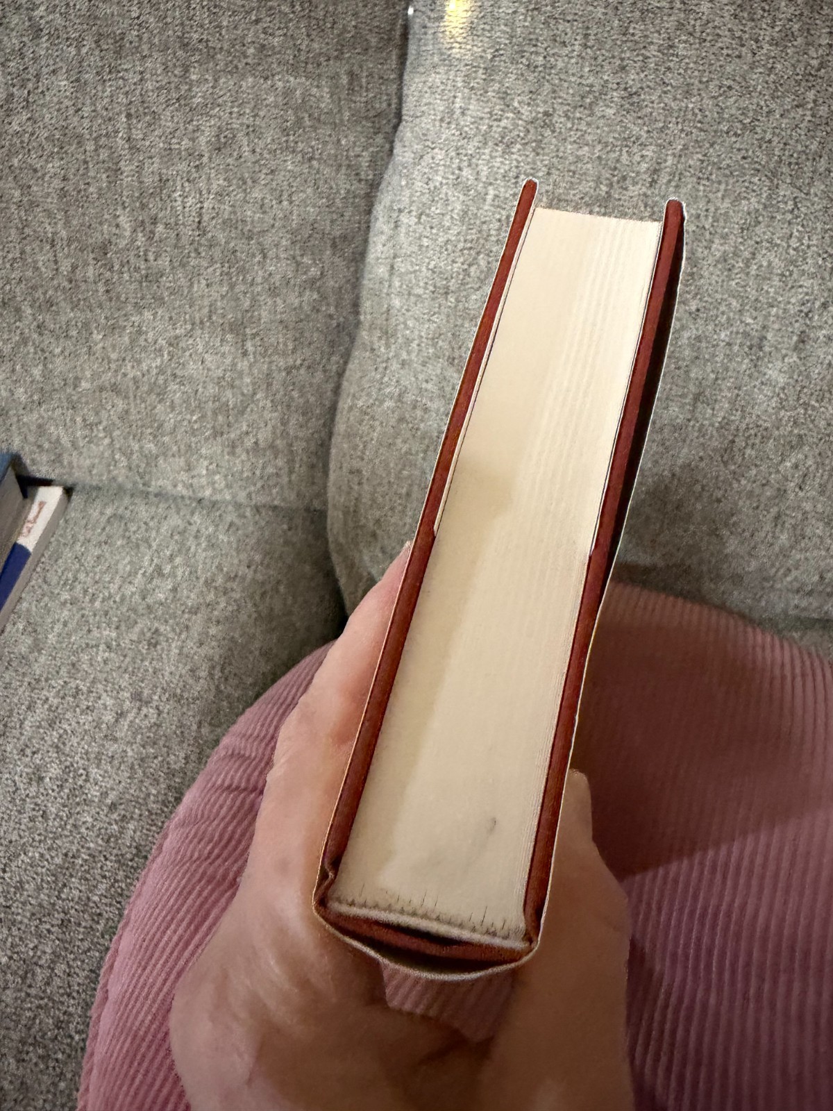 Hypnerotomachia Poliphili: The Strife of Love in a Dream HC Dust Jacket