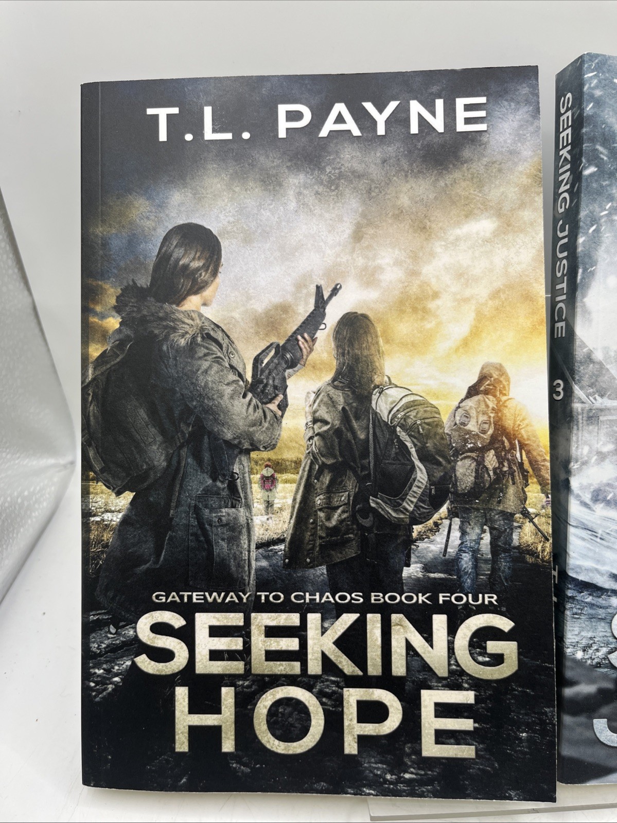 Gateway to chaos book series set of 2- Book 3 Seeking Hope & 4 Seeking Justice