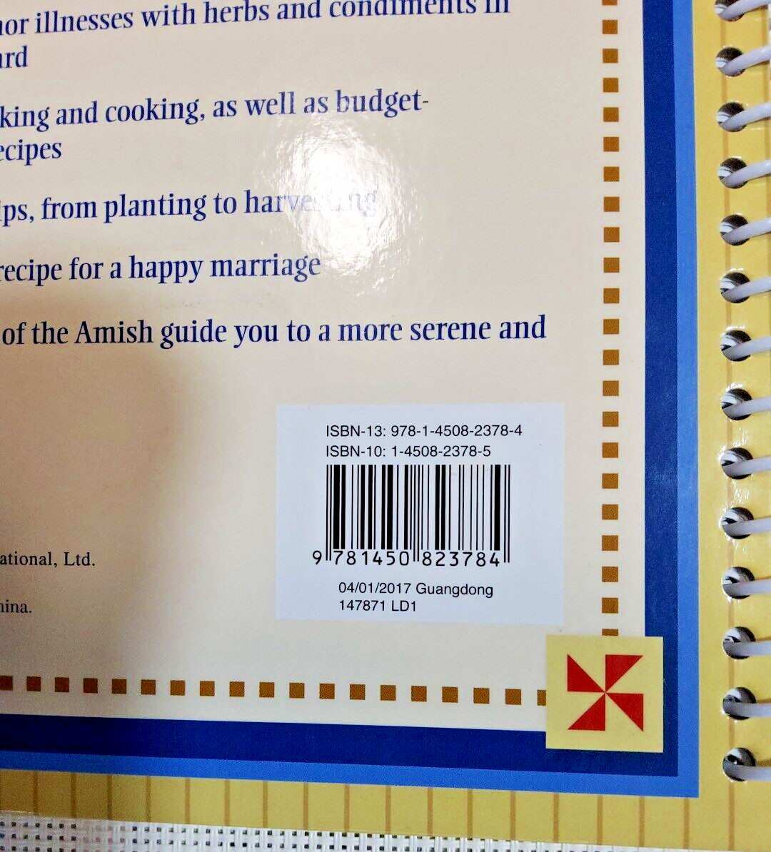 100’s of Amish Hints Book Writing inside front flap