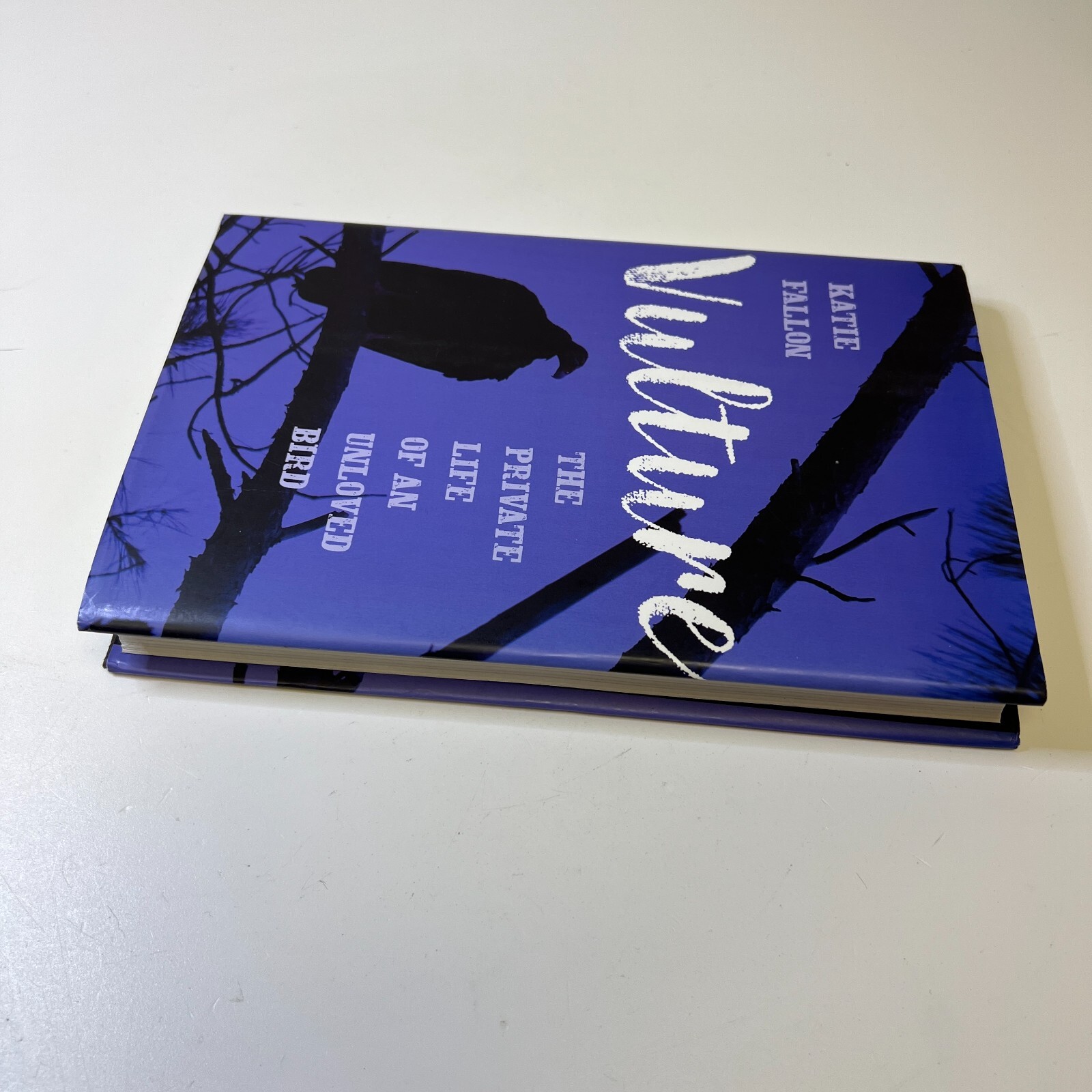 Vulture The Private Life of an Unloved Bird Hardcover Katie Fal