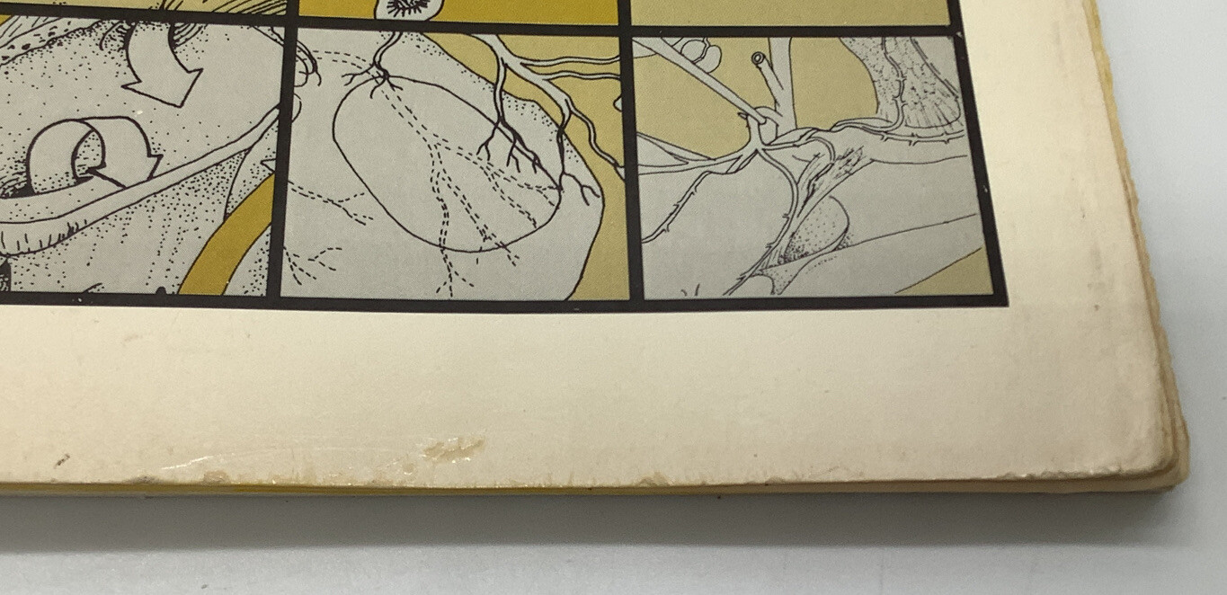 Laboratory Anatomy Ser. Anatomy of the White Rat by Robert Chiasson VINTAGE 1980