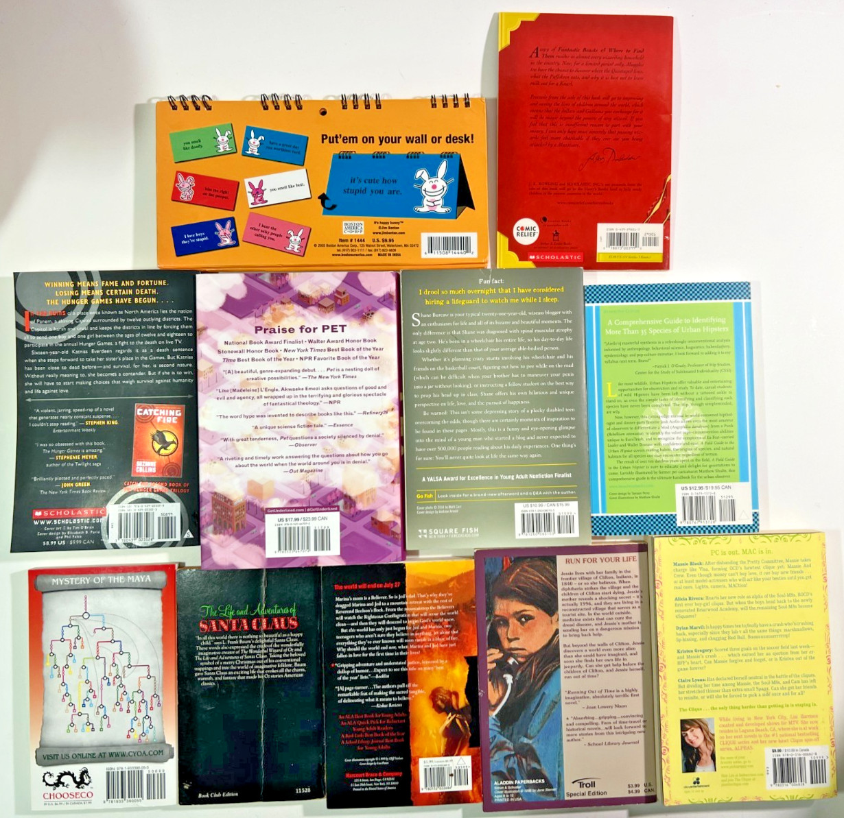 Young Adult Paperback Book Lot x11 Hunger Games Harry Potter YA Bundle