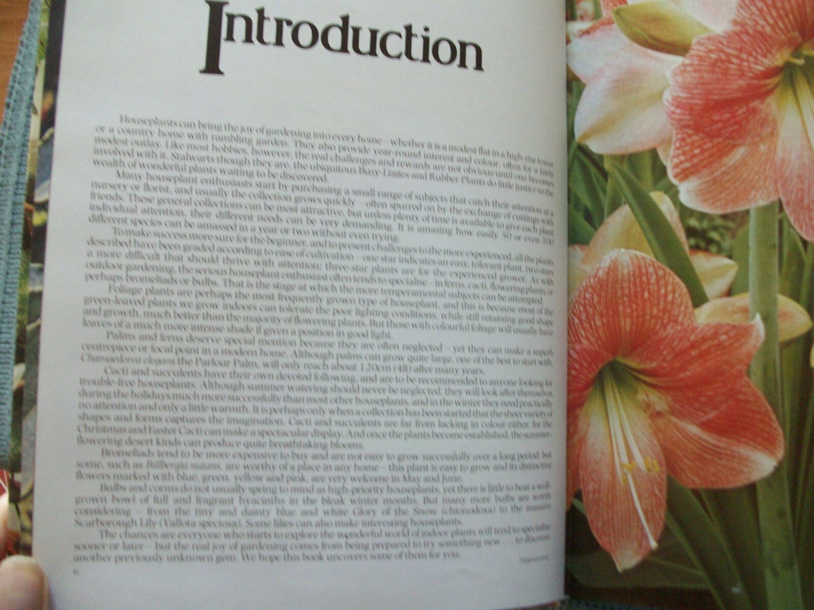 Colorful Houseplants by David Squire and Peter McHoy (1979,hardcover) gardening