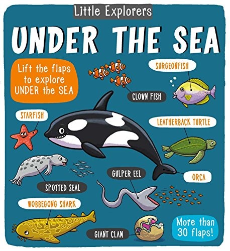 Little Explorers: Under the Sea By Little Bee Books