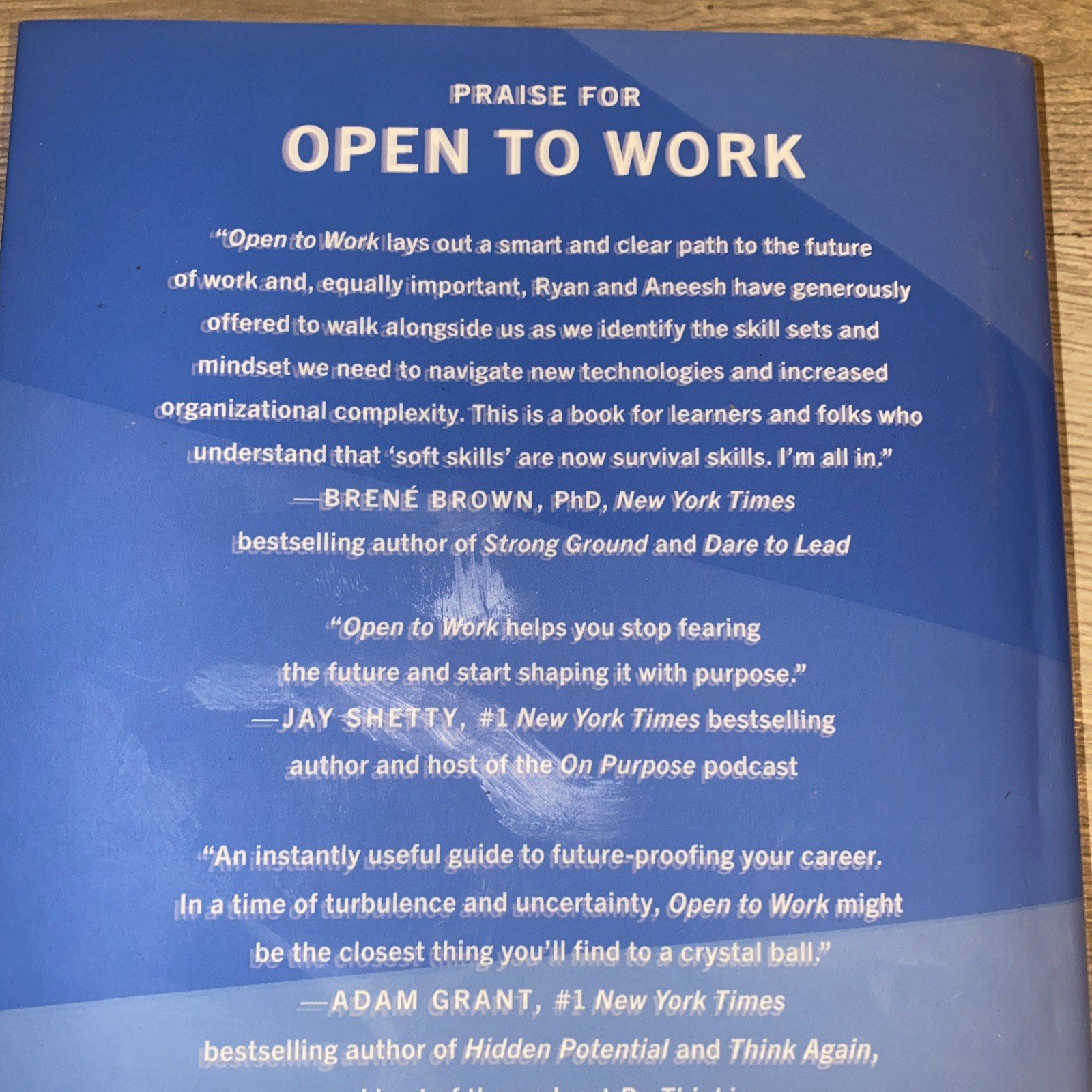 Open to Work How to Get Ahead in the Age of AI HC Book Ryan Roslansky