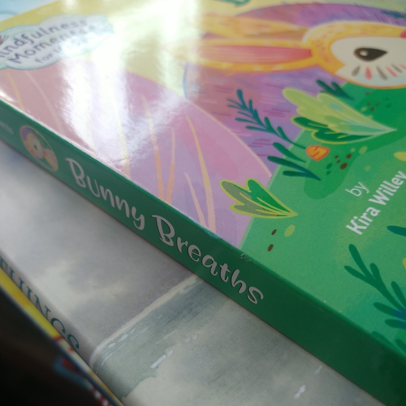 Mindfulness Moments for Kids: Bunny Breaths by Kira Willey (2020) board book