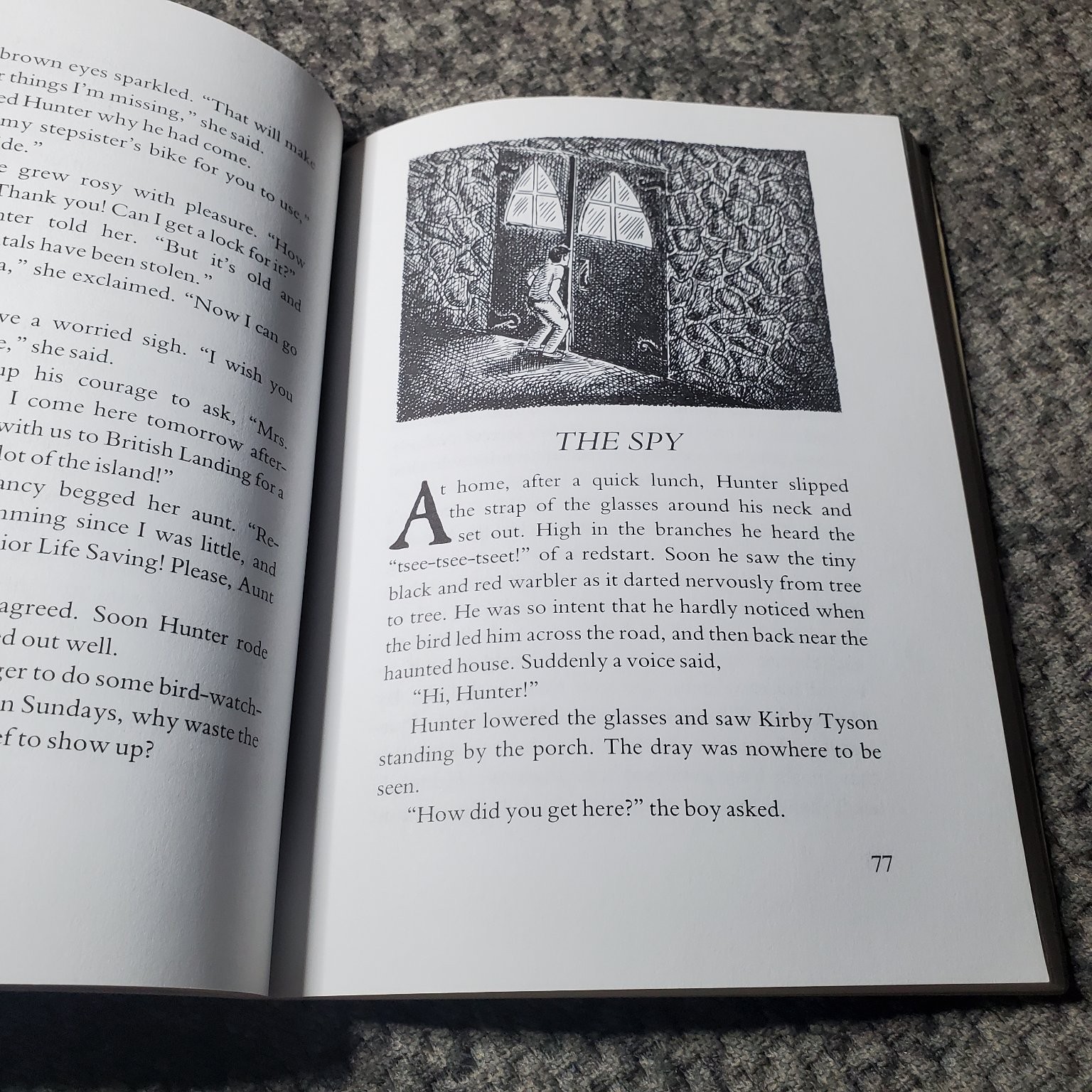 Mystery on Mackinac Island Anna W. Hale 1989 Illustrated Thunder Bay