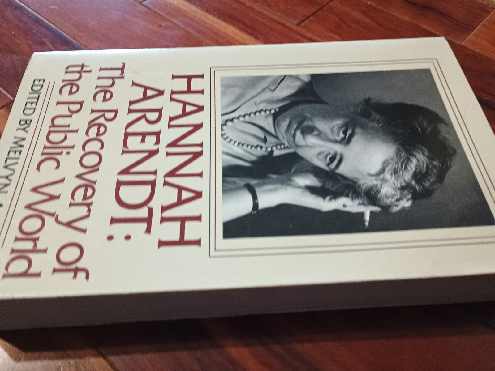 Hannah Arendt: The Recovery of the Public World Edited by Melvyn A. Hill 1979