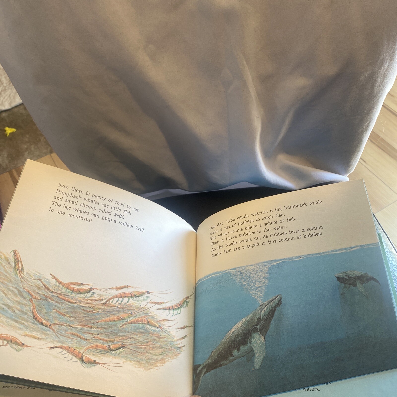 Little Whale. By Ann McGovern. 1979 HC Edition