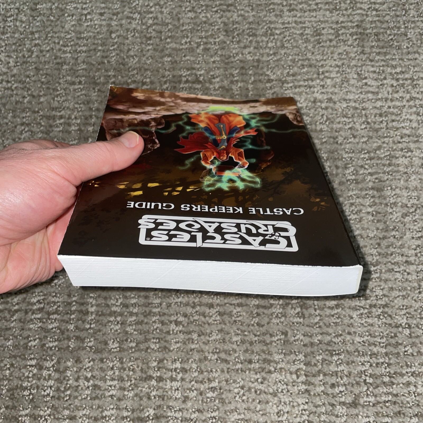 Castles & Crusades Castle Keepers Guide 2nd Printing by Davis Chenault TLG 2015