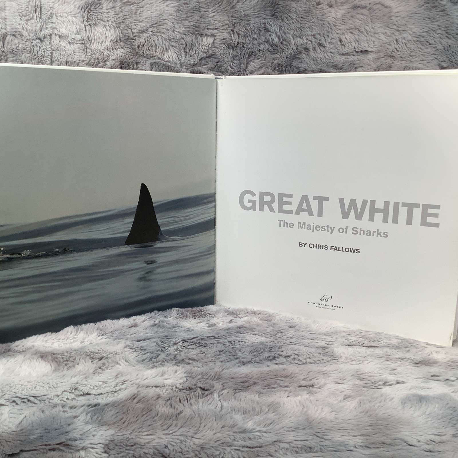 Great White: The Majesty of Sharks by Chris Fallows (no Cover) Excellent Cond