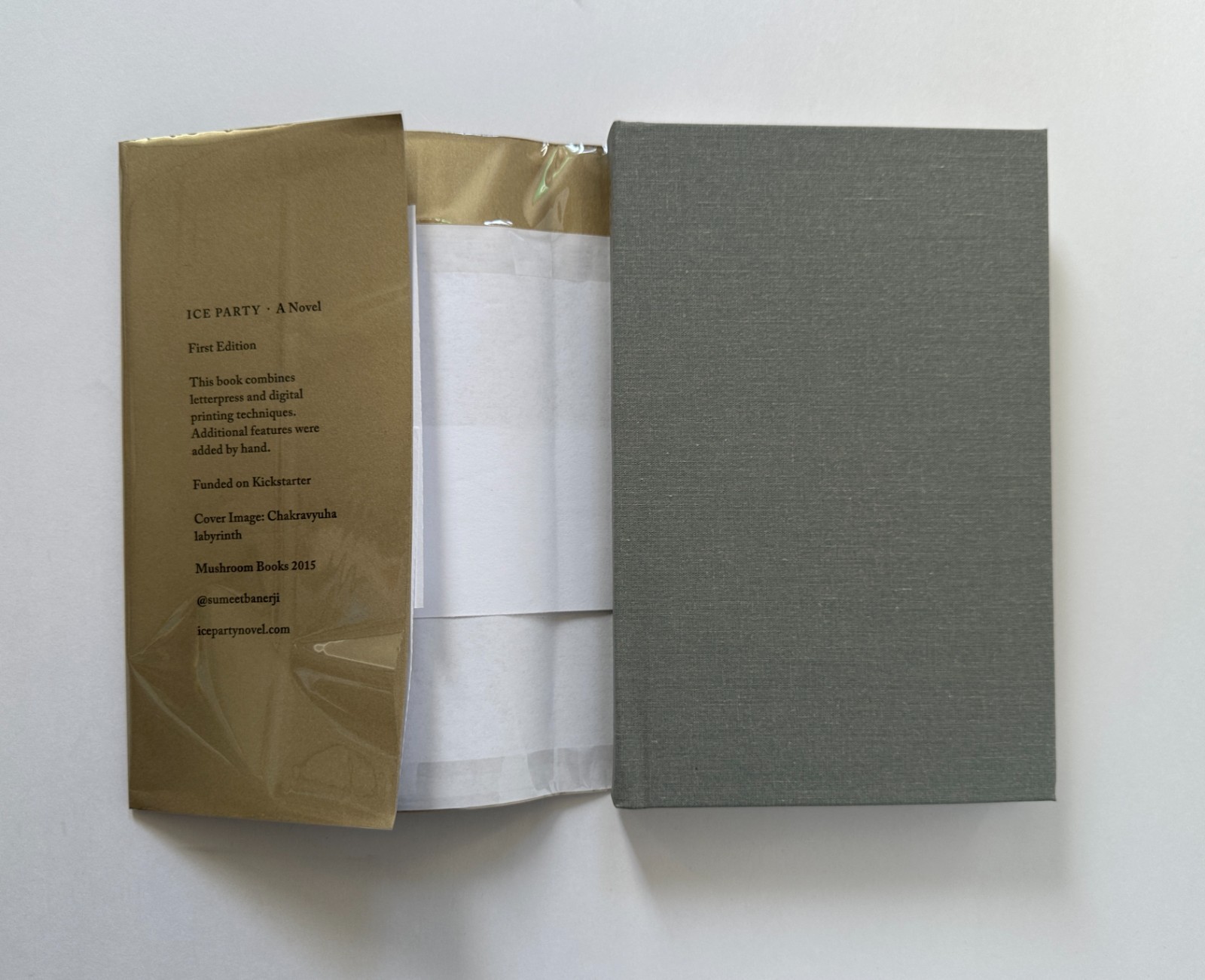 SUMEET BANERJI Ice Party: A Novel | 2015 Mushroom Books First Edition Hardcover