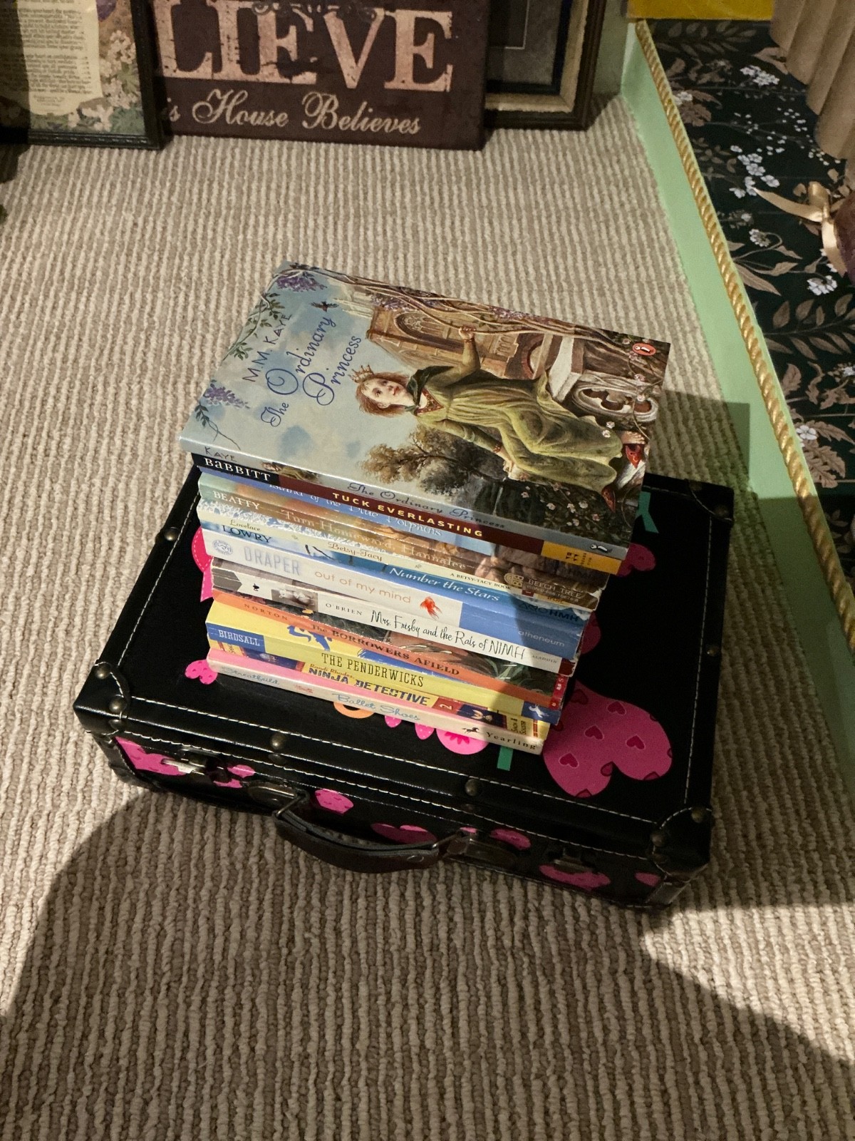 Suitcase LOT of Chapter Books GIRLS interest 12 Various Fiction Adventure—Good