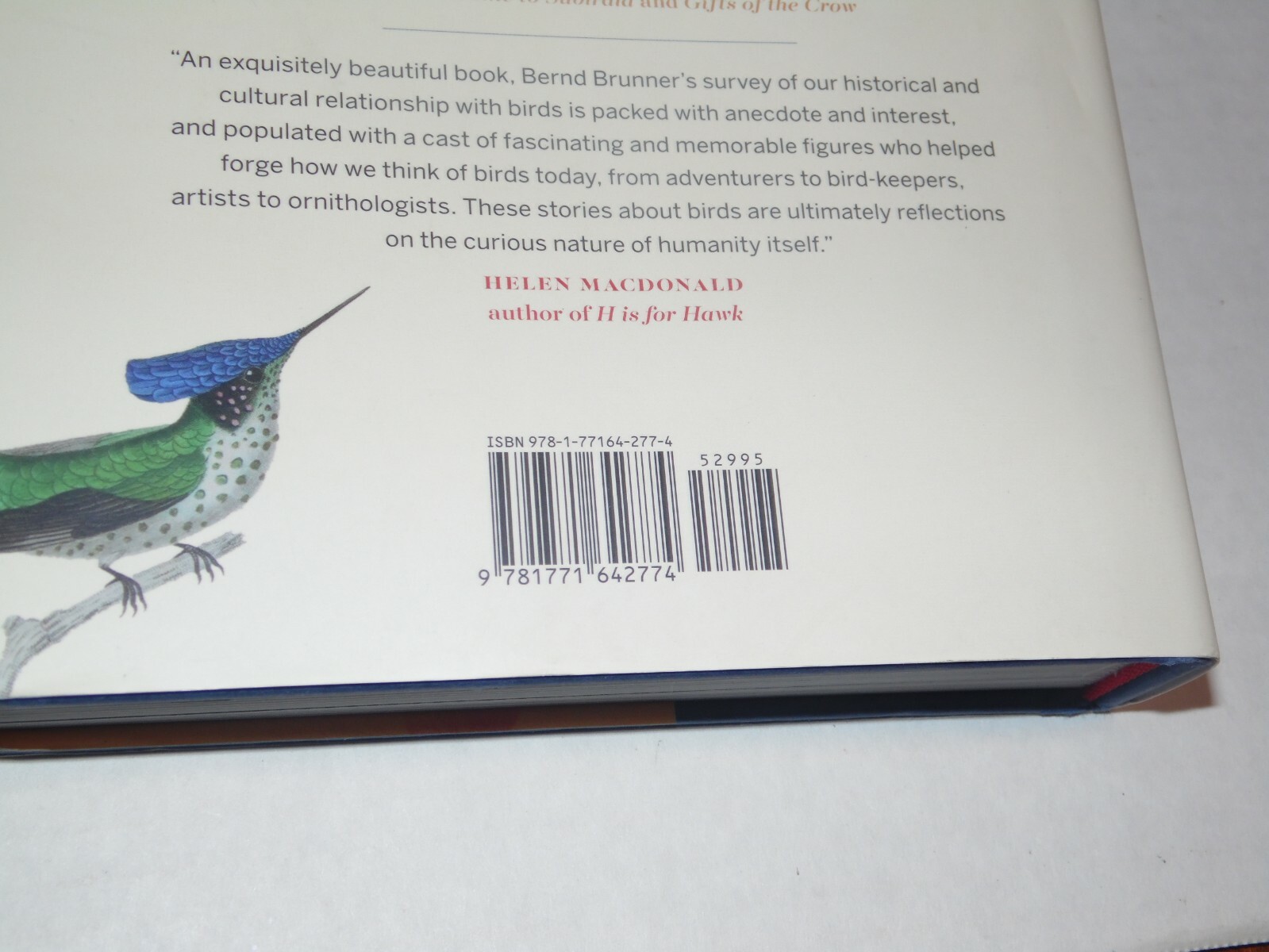 Birdmania: A Remarkable Passion for Birds Bernd Brunner Hardback 292 Pages