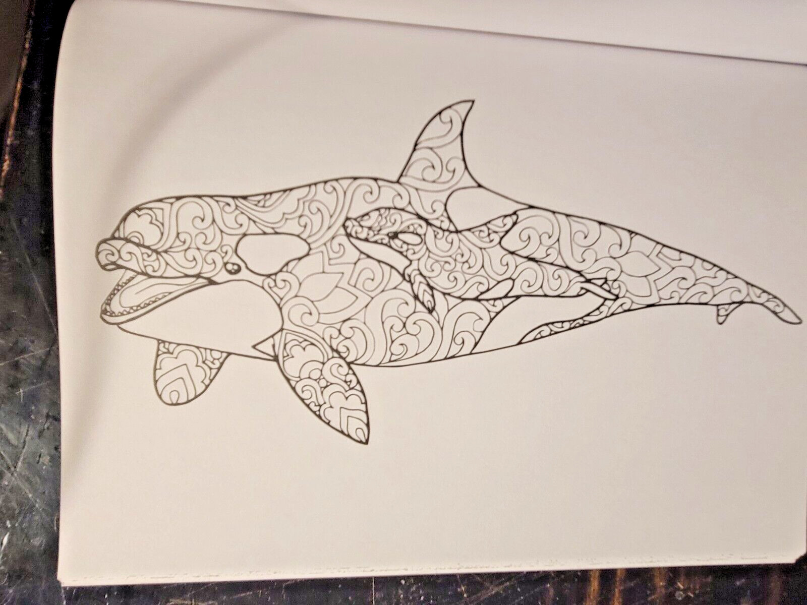 COLORS OF THE WILD! Vol. 18 Adult Coloring Book With 47 Prints Ready To Frame!