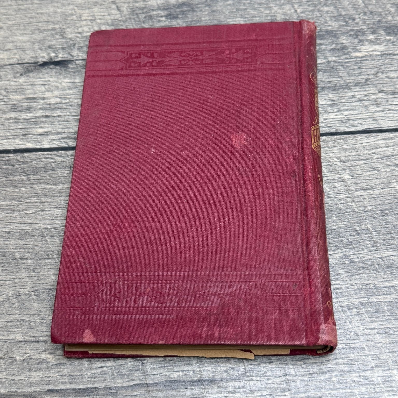 Swine Husbandry F.D. Coburn 1903 Revised Enlarged Illustrated Orange Judd Co.
