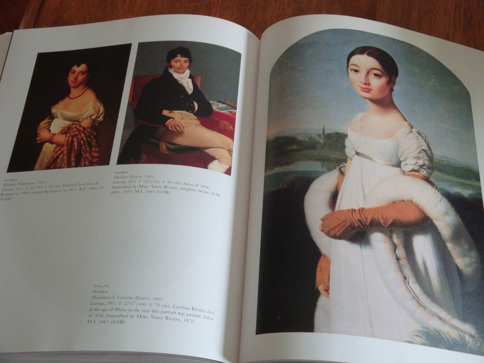 PAINTINGS IN THE LOUVRE LAWRENCE GOWING HARD COVER STEWART TABORI & CHANG