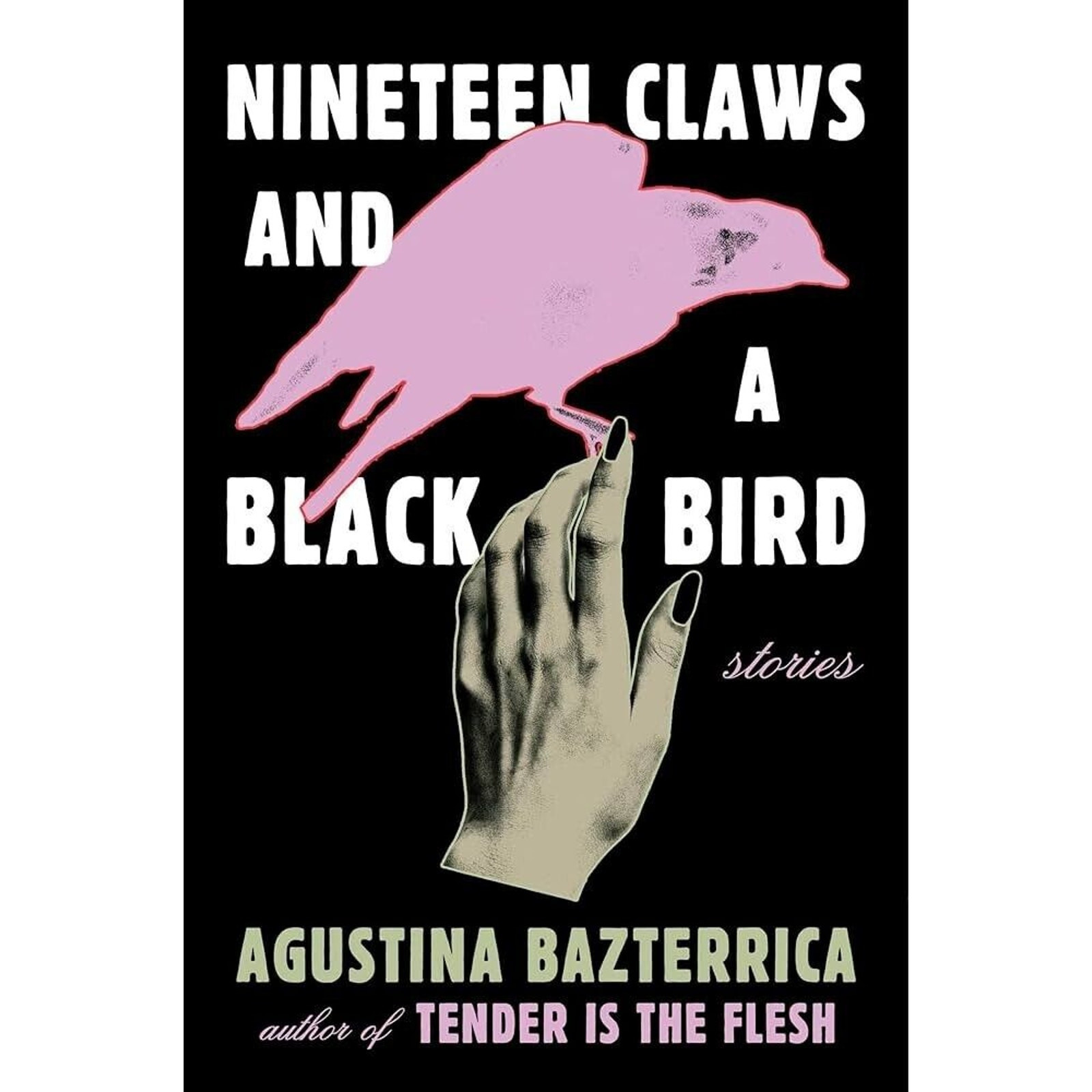 Nineteen Claws and a Black Bird : Stories Paperback Agustina Bazt