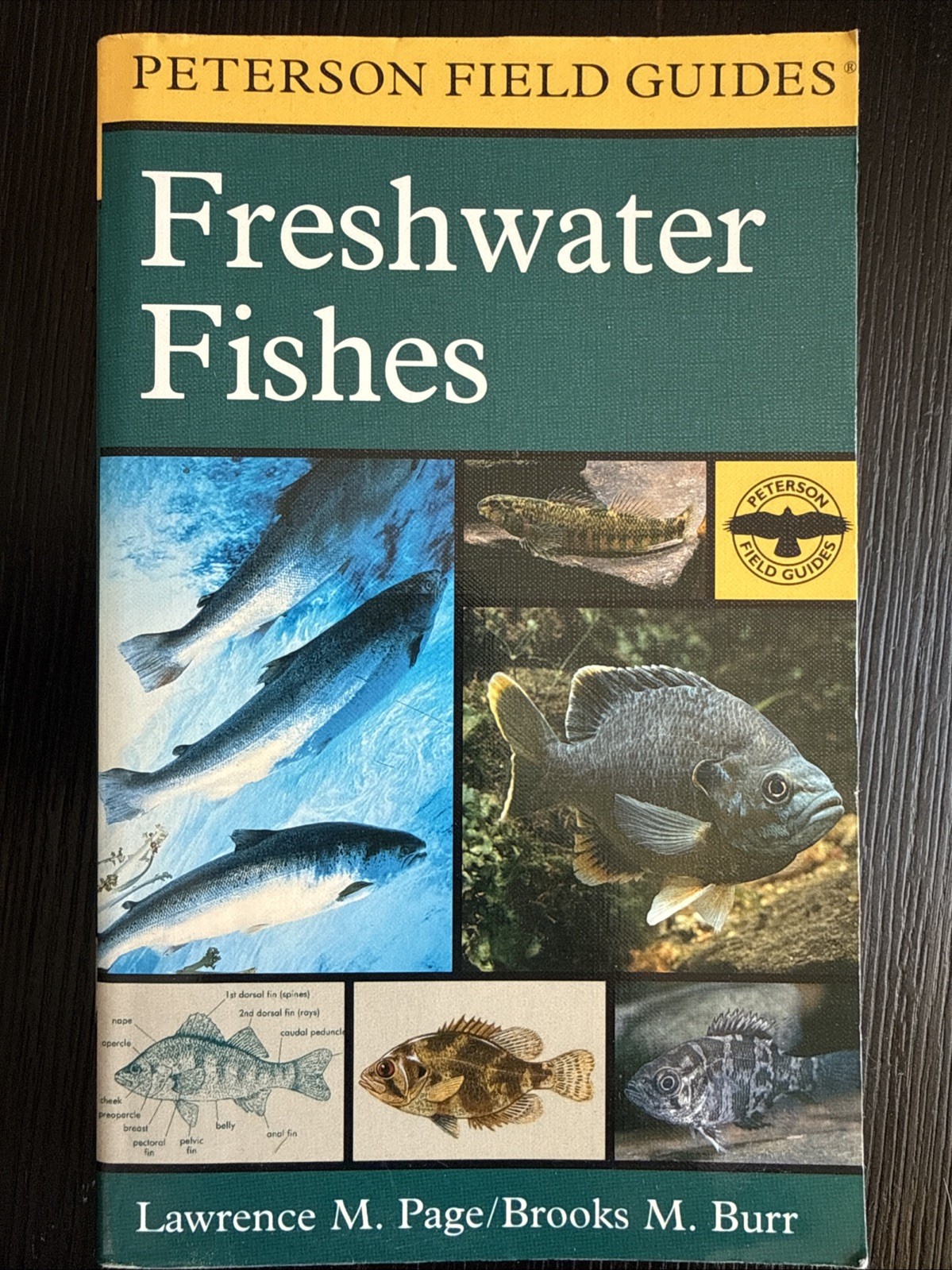 Paterson Field Guides – Fresh Water Fishes- Lawrence M.