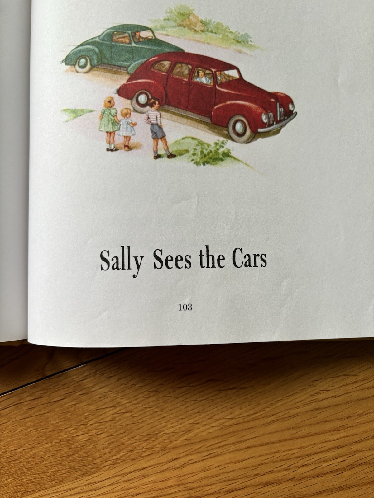 Dick and Jane Ser.: Storybook Treasury of Dick and Jane and Friends by…