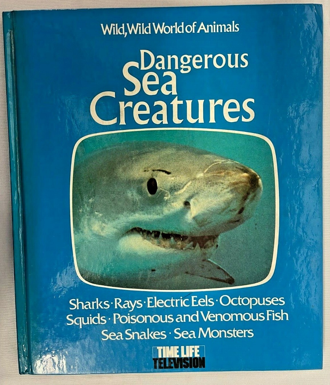 Whales Dolphins Sharks Dangerous Sea Creatures Ocean Animals Book Lot of 5