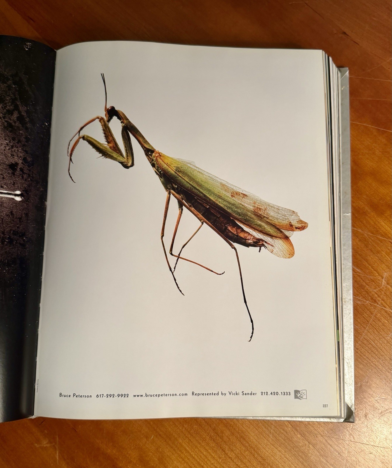 WORKBOOK Portfolio Photo 22 East/South Hardcover (Great For The Coffee Table)