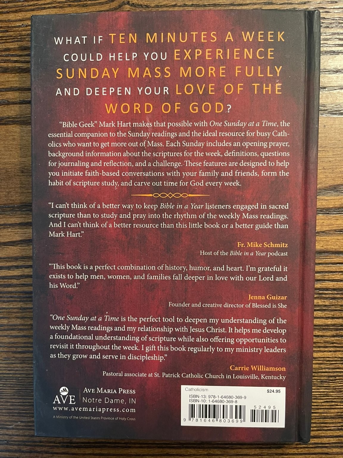 One Sunday at a Time Mark Hart Mass Readings Catholicism Ave Maria Press:VG