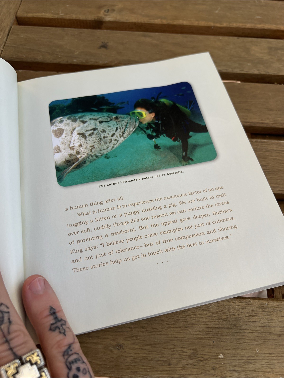Unlikely Friendships Jennifer S. Holland Paperback Workman Animals Nature 2011