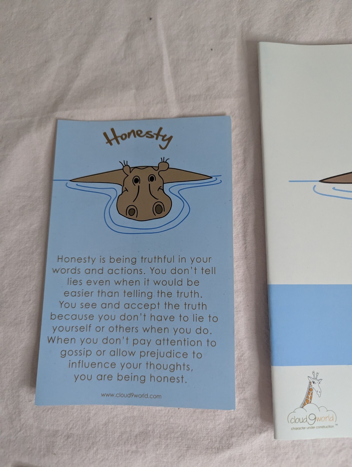 Home School Teachers Cloud 9 world character book HONESTY 2nd-5th grade kit